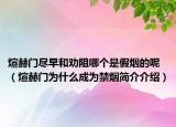 煊赫门尽早和劝阻哪个是假烟的呢（煊赫门为什么成为禁烟简介介绍）