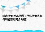 啥啥相争,渔翁得利（什么相争渔翁得利的意思简介介绍）