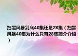 扫黑风暴到底40集还是28集（扫黑风暴40集为什么只有28集简介介绍）