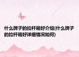 什么牌子的拉杆箱好介绍(什么牌子的拉杆箱好详细情况如何)