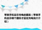 苹果手机显示充电的图案（苹果手机显示哪个图标才是在充电简介介绍）