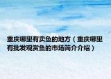 重庆哪里有卖鱼的地方（重庆哪里有批发观赏鱼的市场简介介绍）