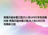青海天峻冰雹已致25人伤135只羊死详细内容 青海天峻冰雹已致25人伤135只羊死具体介绍