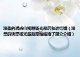 温柔的诱惑电视剧杨光最后和谁结婚（温柔的诱惑杨光最后跟谁结婚了简介介绍）