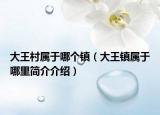 大王村属于哪个镇（大王镇属于哪里简介介绍）