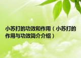 小苏打的功效和作用（小苏打的作用与功效简介介绍）
