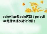polovillae和polo区别（polovillae是什么档次简介介绍）