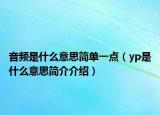 音频是什么意思简单一点（yp是什么意思简介介绍）