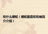 吃什么蟒蛇（蟒蛇最喜欢吃啥简介介绍）
