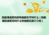 陆毅演诸葛亮的电视剧名字叫什么（陆毅演的诸葛亮叫什么电视剧名简介介绍）