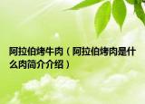 阿拉伯烤牛肉（阿拉伯烤肉是什么肉简介介绍）
