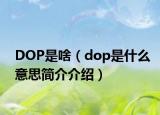 DOP是啥（dop是什么意思简介介绍）