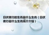日伏夜行的生肖是什么生肖（日伏夜行是什么生肖简介介绍）