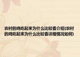 农村的鸡吃起来为什么比较香介绍(农村的鸡吃起来为什么比较香详细情况如何)
