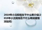 2019年小沈阳现在干什么呢介绍(2019年小沈阳现在干什么呢详细情况如何)