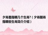 夕肖是指哪几个生肖?（夕肖朝肖指哪些生肖简介介绍）