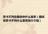 苏卡不列在俄语中什么意思（俄语里苏卡不列什么意思简介介绍）