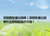 深圳有东湖公园吗（深圳东湖公园有什么好玩的简介介绍）