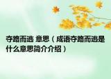 夺路而逃 意思（成语夺路而逃是什么意思简介介绍）
