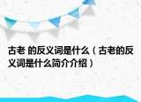 古老 的反义词是什么（古老的反义词是什么简介介绍）