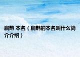 扁鹊 本名（扁鹊的本名叫什么简介介绍）