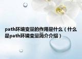 path环境变量的作用是什么（什么是path环境变量简介介绍）