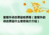 套餐外语音费是啥费用（套餐外的语音费是什么意思简介介绍）