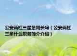 公安两杠三星是局长吗（公安两杠三星什么职务简介介绍）