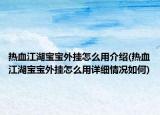 热血江湖宝宝外挂怎么用介绍(热血江湖宝宝外挂怎么用详细情况如何)