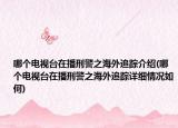 哪个电视台在播刑警之海外追踪介绍(哪个电视台在播刑警之海外追踪详细情况如何)