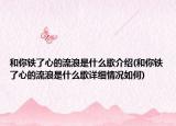 和你铁了心的流浪是什么歌介绍(和你铁了心的流浪是什么歌详细情况如何)