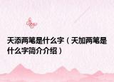 天添两笔是什么字（天加两笔是什么字简介介绍）