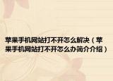 苹果手机网站打不开怎么解决（苹果手机网站打不开怎么办简介介绍）