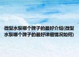 微型水泵哪个牌子的最好介绍(微型水泵哪个牌子的最好详细情况如何)