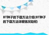 BT种子的下载方法介绍(BT种子的下载方法详细情况如何)