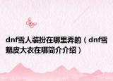 dnf雪人装扮在哪里弄的（dnf雪魈皮大衣在哪简介介绍）
