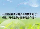 一寸照片的尺寸是多少美图秀秀（1寸照片尺寸是多少厘米简介介绍）