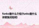 funko是什么介绍(funko是什么详细情况如何)
