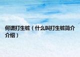 何谓打生桩（什么叫打生桩简介介绍）