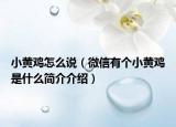 小黄鸡怎么说（微信有个小黄鸡是什么简介介绍）