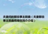 夫妻间的那些事主题曲（夫妻那些事主题曲有哪些简介介绍）