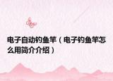 电子自动钓鱼竿（电子钓鱼竿怎么用简介介绍）