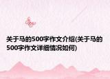 关于马的500字作文介绍(关于马的500字作文详细情况如何)