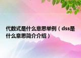 代数式是什么意思举例（dss是什么意思简介介绍）