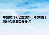甲醇燃料和乙醇燃料（甲醇燃料是什么能源简介介绍）