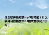 什么软件能播放mp3格式的（什么软件可以播放MP3格式的歌简介介绍）
