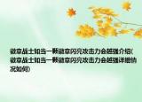 徽章战士如当一颗徽章闪亮攻击力会越强介绍(徽章战士如当一颗徽章闪亮攻击力会越强详细情况如何)