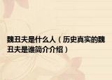 魏丑夫是什么人（历史真实的魏丑夫是谁简介介绍）