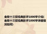 金陵十三钗经典影评1000字介绍(金陵十三钗经典影评1000字详细情况如何)