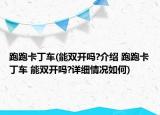 跑跑卡丁车(能双开吗?介绍 跑跑卡丁车 能双开吗?详细情况如何)